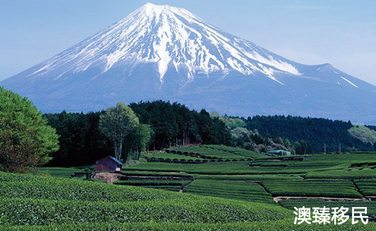 日本旅行指南：前往日本之前应了解的13件事（上）1.jpg