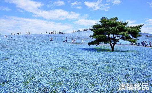 去日本游玩不要错过这10个地方，个个胜似人间仙境10.jpg