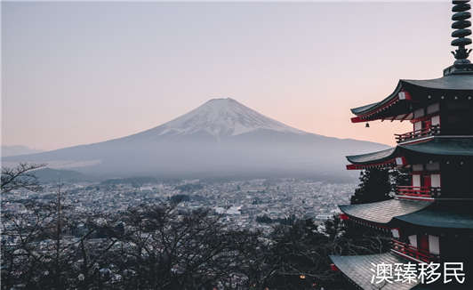 日本移民计划.jpg