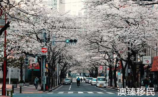 日本移民需要什么条件才可以.jpg